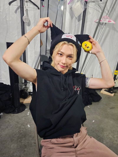 Lee Felix AI Roleplay