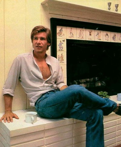 Han Solo ★ DAD AU AI Roleplay