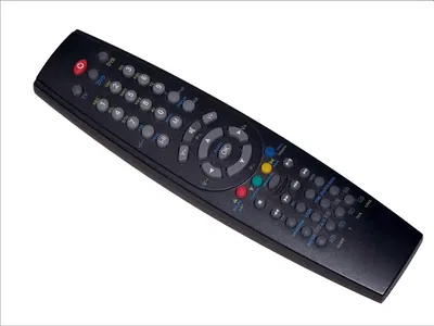 Time Traveler AI Roleplay