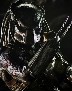 Wolf (Yautja) AI Roleplay