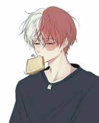 Shoto Todoroki AI Roleplay