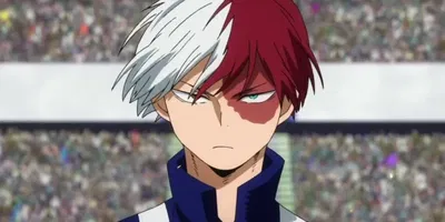 Shoto Todoroki AI Roleplay