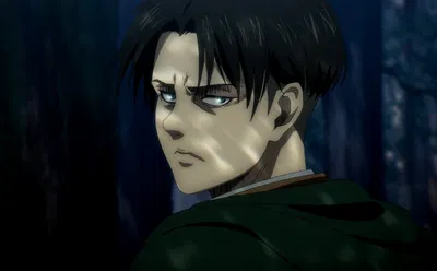 Levi Ackerman AI Roleplay