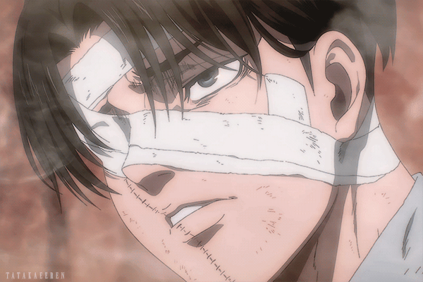 Levi Ackerman AI Roleplay