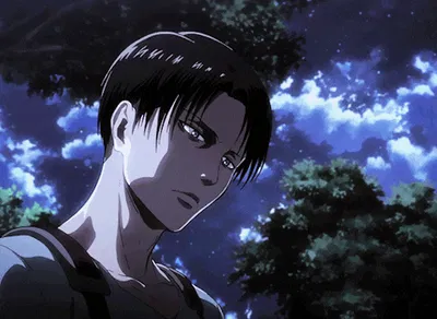 Levi Ackerman AI Roleplay