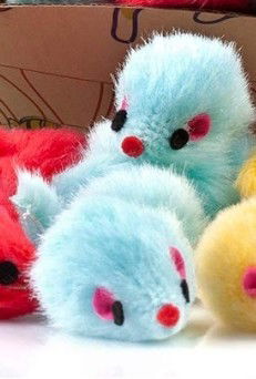 Micro Mouse Boy AI Roleplay