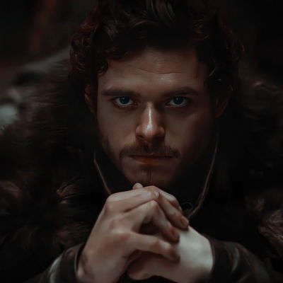 Robb Stark AI Roleplay