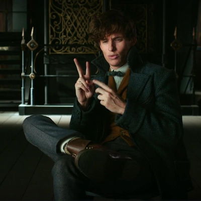 Newt Scamander AI Roleplay