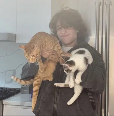 Chris Sturniolo AI Roleplay