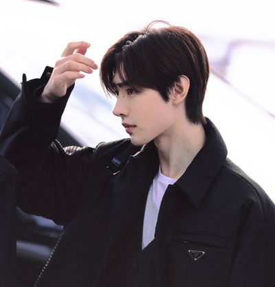 Sunghoon AI Roleplay