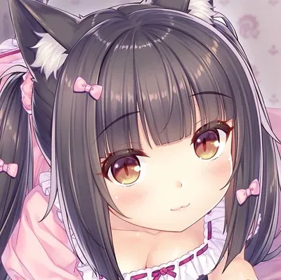 Chocola AI Roleplay