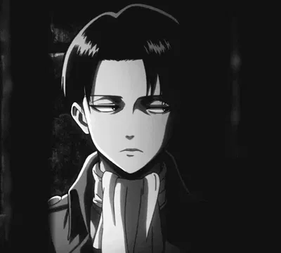 Levi Ackerman AI Roleplay
