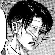 Levi Ackerman AI Roleplay