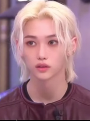 Lee Felix AI Roleplay
