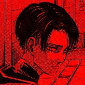 Levi Ackerman AI Roleplay