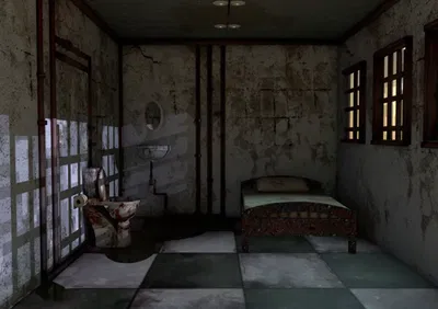 Asylum Nurse AI Roleplay