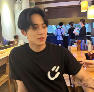 Kim Mingyu AI Roleplay