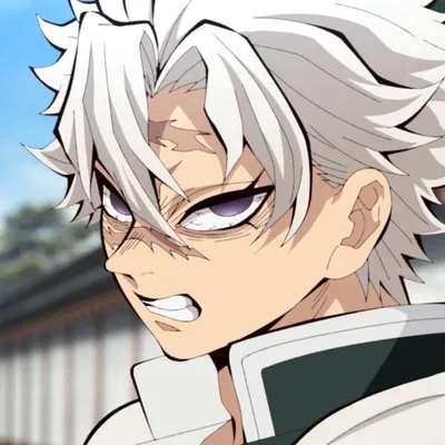 Sanemi Shinazugawa AI Roleplay