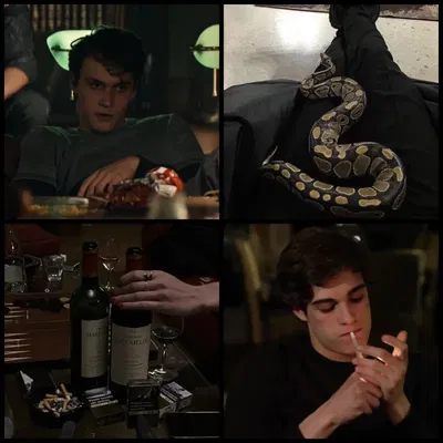 Mattheo Riddle and Theodore Nott AI Roleplay