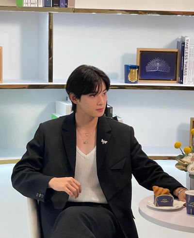 Cha Eunwoo AI Roleplay