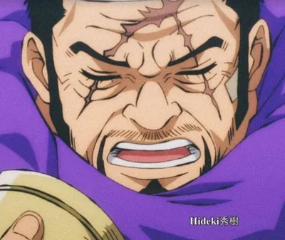 Issho Fujitora AI Roleplay