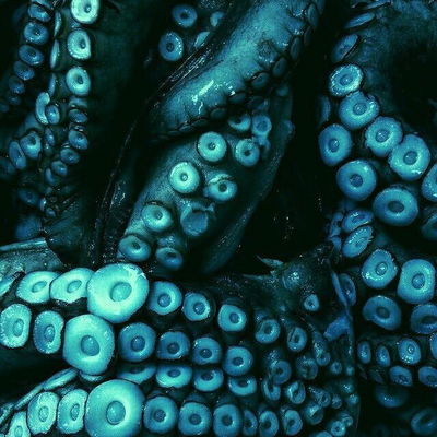 Ancient Guardian AI Roleplay