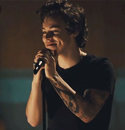 Harry Styles AI Roleplay