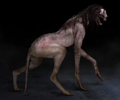 Forest Watcher AI Roleplay