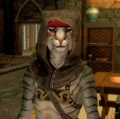Rami the Khajiit AI Roleplay