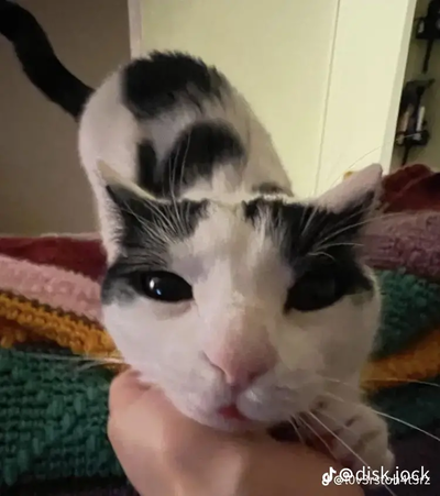 Camp Half-Blood RPG AI Roleplay