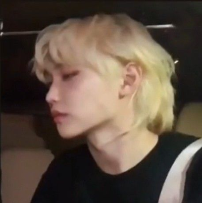 Lee Felix AI Roleplay