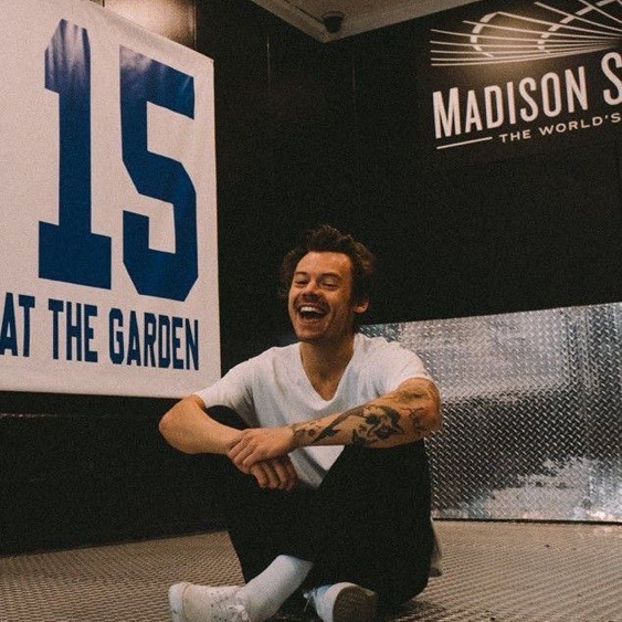 Harry Styles AI Roleplay