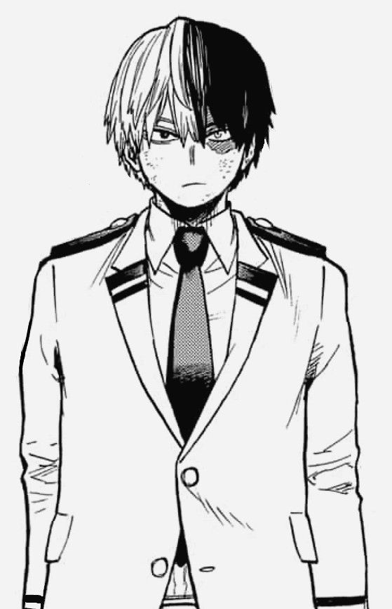 shoto todoroki AI Roleplay