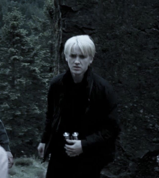 Draco Lúcio Malfoy. AI Roleplay