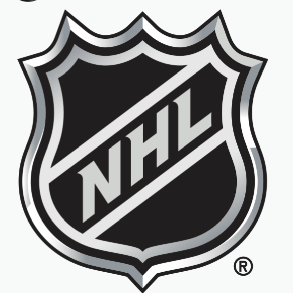 National Hockey League AI Roleplay