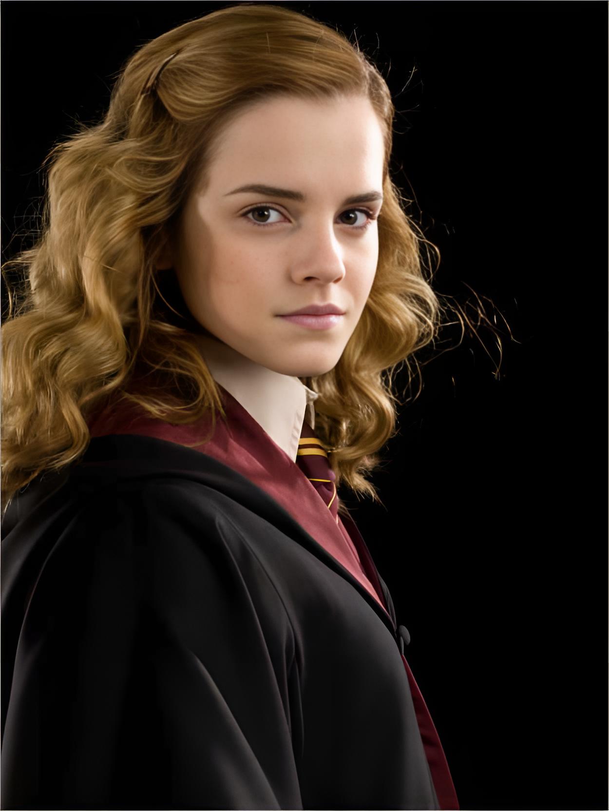 Hermine Granger AI Roleplay
