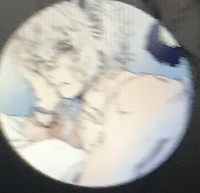 Andri The catboy AI Roleplay