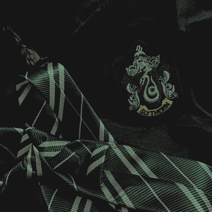 Slytherin Boys AI Roleplay