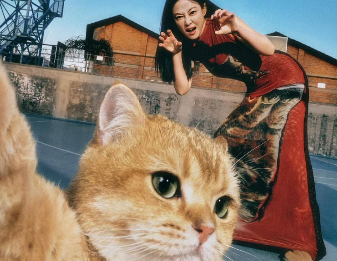 画像からビデオへのデモ